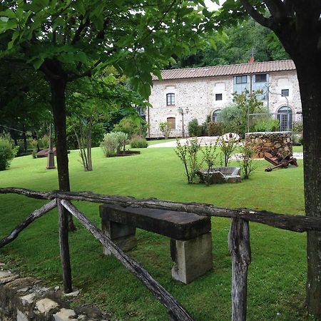 Lady Frantoio Toscano Corsanico-Bargecchia エクステリア 写真