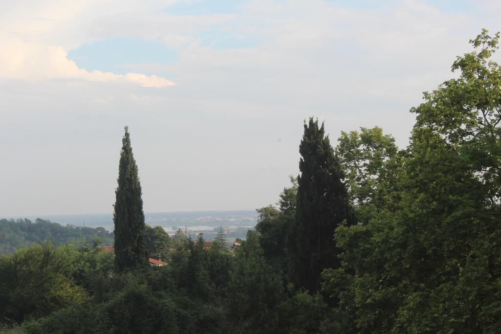 Lady Frantoio Toscano Corsanico-Bargecchia エクステリア 写真